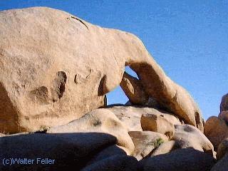Joshua Tree National Park - Black Rock Canyon, Covington Flats, California Riding and Hiking Trail