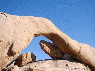 Joshua Tree National Park - Black Rock Canyon, Covington Flats, California Riding and Hiking Trail