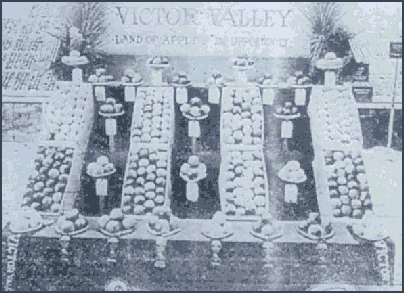 Photo of a state fair 
display for Victor Valley