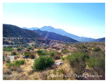 Lone Pine Canyon, San Andreas Fault