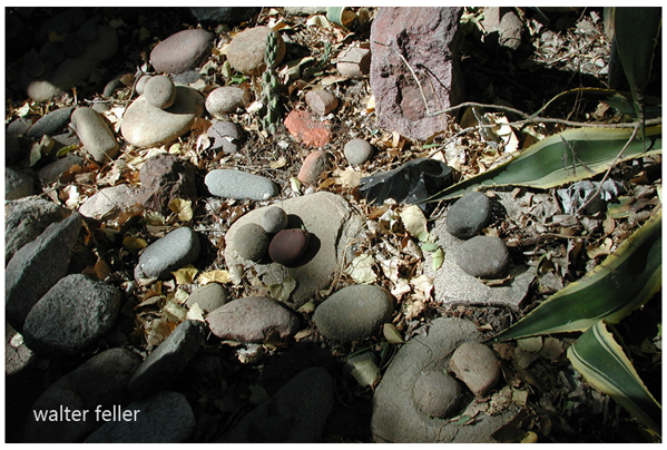 Manos and metates used for grinding