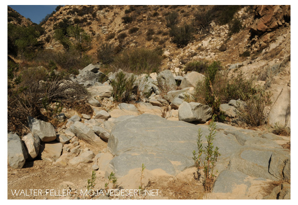 Crowder Canyon