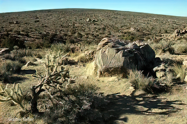Photograph of Cima Dome from Teutonia Peak Trail