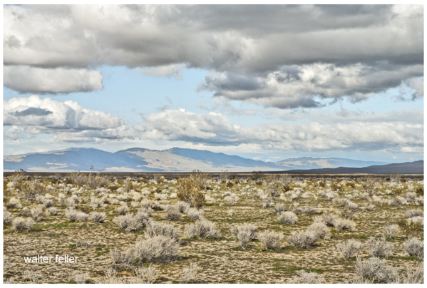 Fremont Valley, Garlock Fault, El Paso Mountains