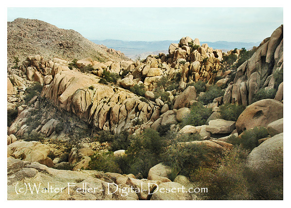 Eagle Cliff Mine, Joshua Tree National Park