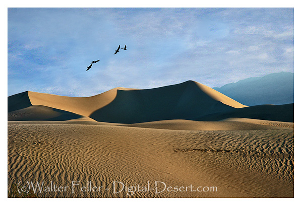 Sand dunes in Death Valley