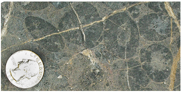 Image of pisolites from the Cambrian Chambless Formation