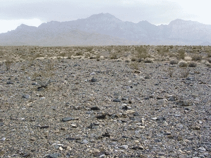 A desert pavement in the Providence Mountains area