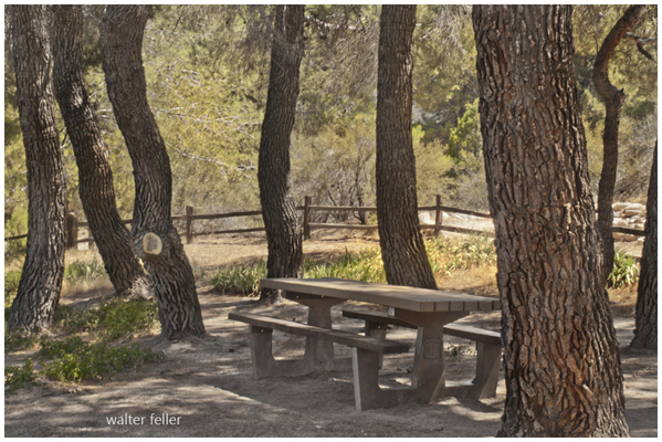 Mormon Rocks interpretive trail