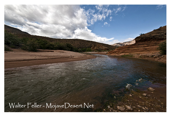 Virgin River in Arizona