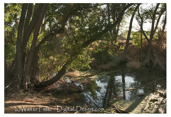 Point of Rocks, a pioneer stop near Helendale, Ca.