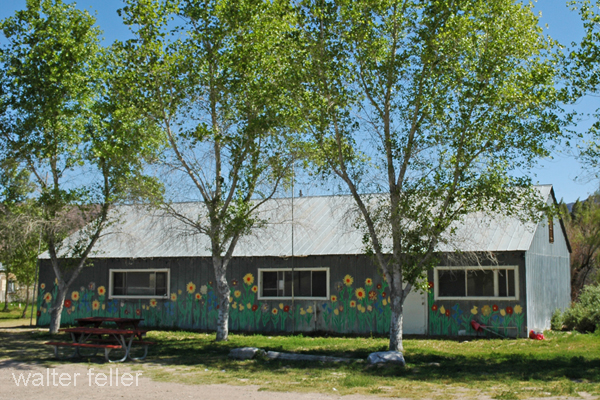 Flower community building Shoshone, California, Death Valley