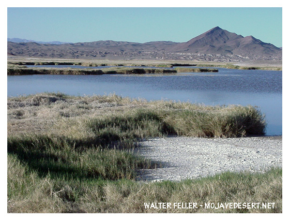 Pleistocene Lake Tecopa, Shoshone/Tecopa, CA