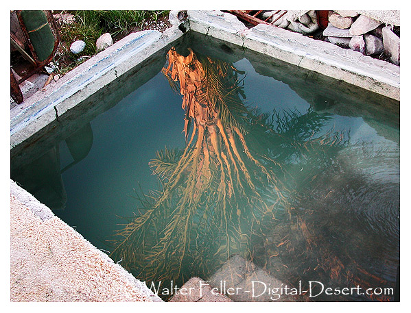 Tecopa hotsprings wild springs, hepatitus springs