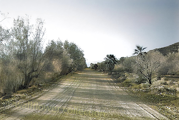 Zzyzx road in the Mojave Preserve prior to being paved